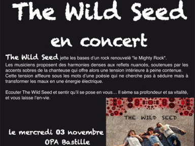 wild seed