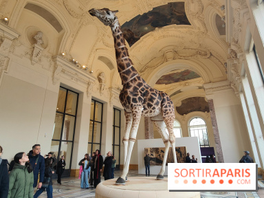 Art Basel 2025 : des installations d'art contemporain originales et gratuites à voir au Petit Palais