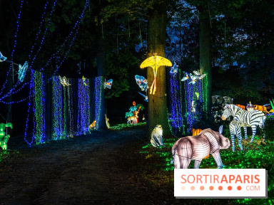 Thoiry Lumières Sauvages 2025 : le Bal des Esprits - A7C09500