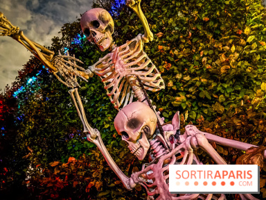 Le Parc de l'étrange 2025, Halloween au Parc André Citroën à Paris - photos - IMG 9810