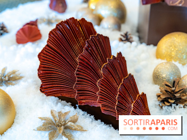 Bûche de Noël du Bristol 2025 signée Maxence Barbot : l'Art du Sommet - photos - A7C08918