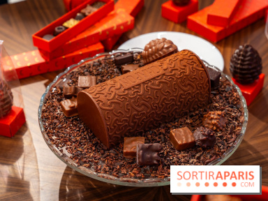 Bûche de Noël et créations de fête de Chapon 2025 - A7C07442