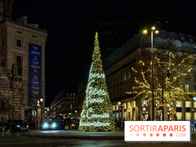Les illuminations de Noël 2025 du Boulevard Haussmann - IMG 2430