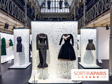 Une double exposition mode à la Galerie Dior et à la Fondation Azzedine Alaïa, à Paris - IMG 5680