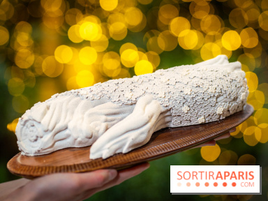 Le tea time de Noël du George V 2025, les photos - buche de noël