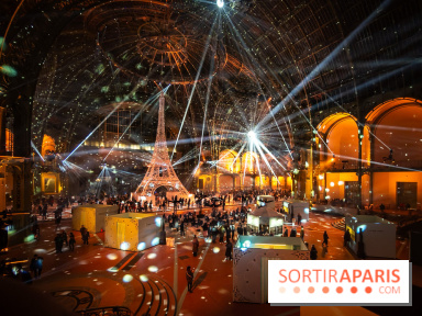 Le Grand Palais des Glaces 2025 - les photos