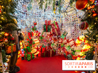 Ce passionné en Essonne transforme son jardin en Village de Noël à visiter gratuitement