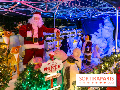 Ce passionné en Essonne transforme son jardin en Village de Noël à visiter gratuitement