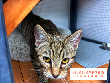 Le Chatelier  - IMG 2495