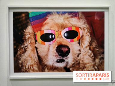 Global Warning : le photographe Martin Parr à l'honneur dans une exposition au Jeu de Paume - fotor 1769689947675