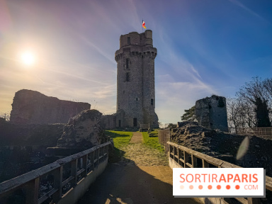 Ile-de-France : La Tour de Montlhéry au panorama unique sur l'Essonne - IMG 0597