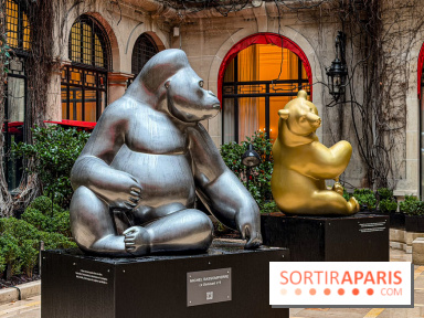 Exposition gratuite au Plaza Athénée : le bestiaire de Michel Bassompierre s'invite au palace - IMG 3929