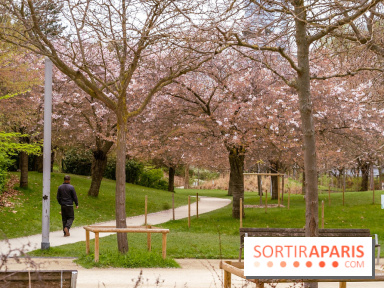 Les cerisiers du parc Martin Luther King - Clichy - Batignoles