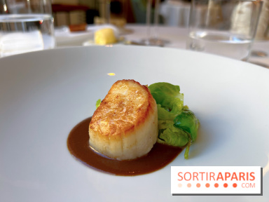 Alliance - Noix de Saint-Jacques à l'unilatéral, chou de Bruxelles, sauce réduite au vin rouge et barbes