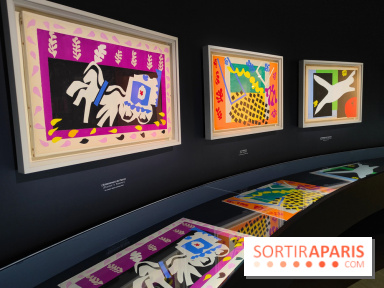 Matisse 1941-1954 : la grande exposition rétrospective sur le peintre incontournable au Grand Palais - fotor 1774267951626