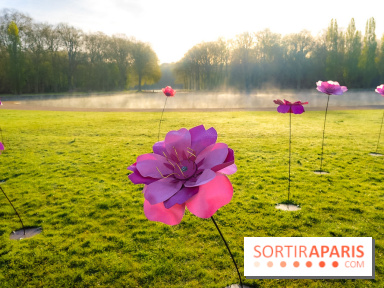 Hanami au Parc de Sceaux 2026, les cerisiers en fleurs et ses  animations