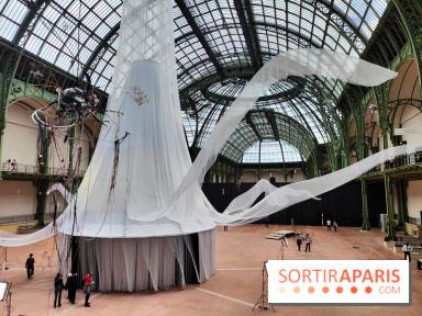 Nous, frissons d'étoile : une installation immersive contemporaine au Grand Palais