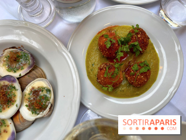 Lotta - Croquettes feta