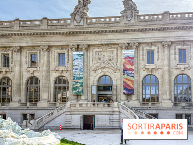 Exposition Cezanne et nous au Grand Palais