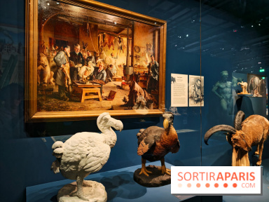 Artistes au Muséum : l'expo anniversaire pour les 400 ans du Muséum national d'Histoire naturelle