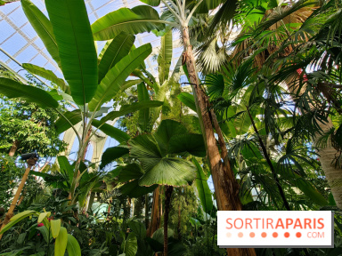 Automne tropical 2026