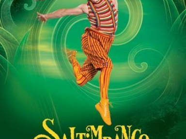 Saltimbanco Paris Bercy