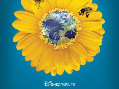 Pollen, Cinéma, Disney