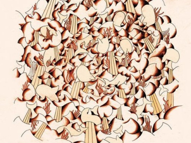 Syd Matters, Brotherocean, Olympia