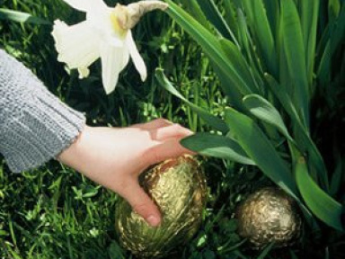 chasse aux oeufs à la bergerie nationale