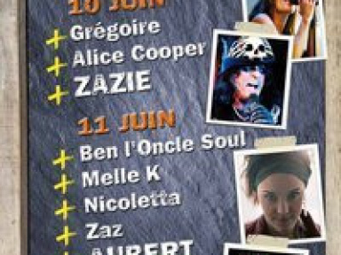 Montereau Confluences 2011