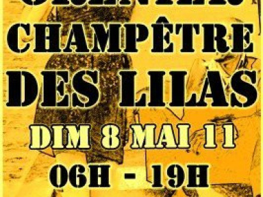 vide grenier et brocante