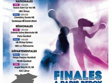 Finale, Coupe de France 2011, Handball, Palais Omnisports de Paris-Bercy