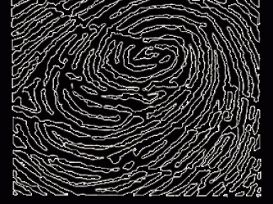 Be Croative, Village Croate, Croatie, Place du Palais Royal