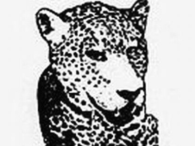 Get The Curse, Rex Club, Soirée