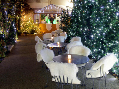 Terrasse d'hiver à l'Hôtel Renaissance Le Parc Trocadéro