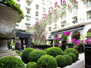 Nouvelle Cour de Marbre au Four Seasons Hotel George V