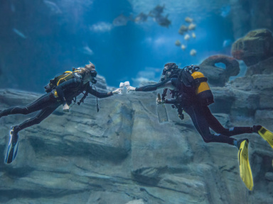 La Night de l'Aquarium de Paris tous les samedis soirs