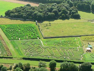 labyrinthes de gally, labyrinthe de gally