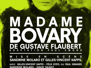 madame bovary