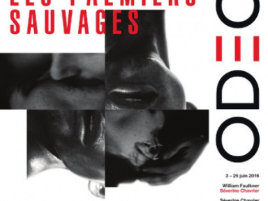 les palmiers sauvages