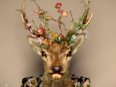 métamorphoses, theatre de l'aquarium