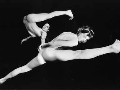 la pudeur des icebergs