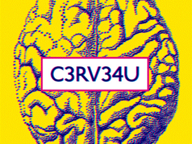 Cerveau, exposition Cité des Sciences