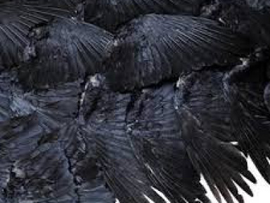 Passé simple, futurs composés au 104