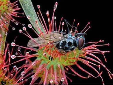 HYPER NATURE -  Philippe Martin