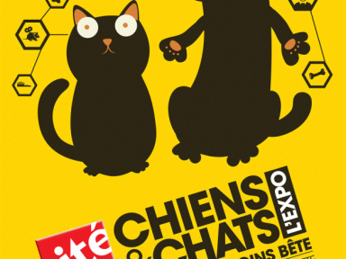 Chiens et chats à la Cité des Sciences