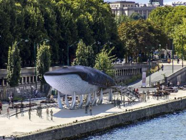 Une grande baleine bleue arrive à Paris