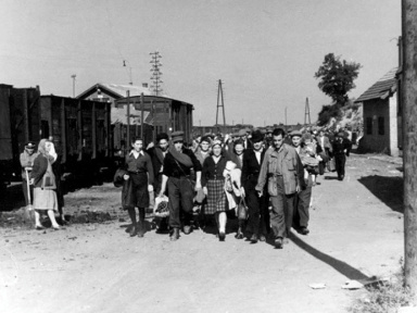 Après la Shoah, 1944-1947 au Mémorial de la Shoah