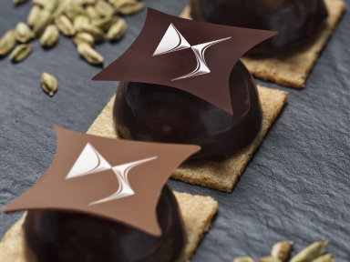 Le Chef Damien au DS World