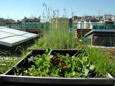 Rendez-vous aux Jardins 2017 au Musée du vivant d'AgroParisTech